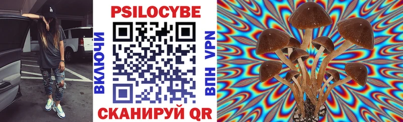 Псилоцибиновые грибы мухоморы  Приморск 